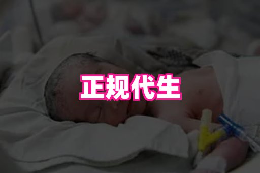 gfg孕网 1