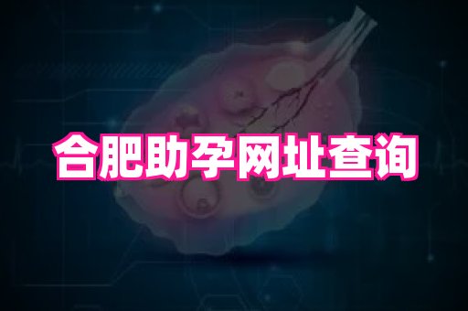 gfg孕网 2